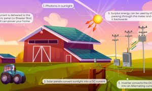 How Solar Energy Works: From Sunlight to Electricity